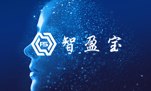 智盈寶網(wǎng)站建設